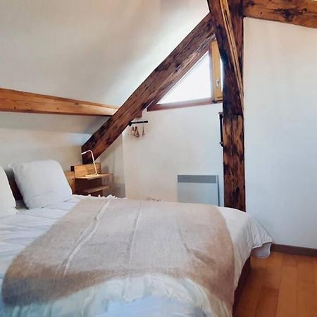 L'Appart Du Paquier Apartment Annecy Luaran gambar